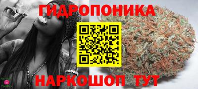 mdpv Бийск